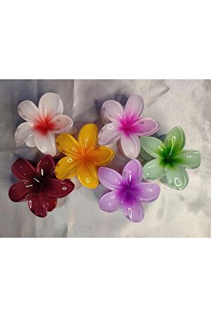 6'LI RENGARENK LOTUS ÇİÇEĞİ MANDAL TOKA 8 cm