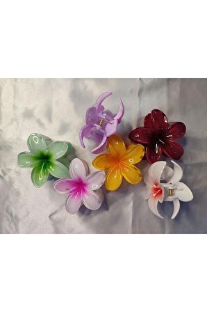 6'LI RENGARENK LOTUS ÇİÇEĞİ MANDAL TOKA 8 cm