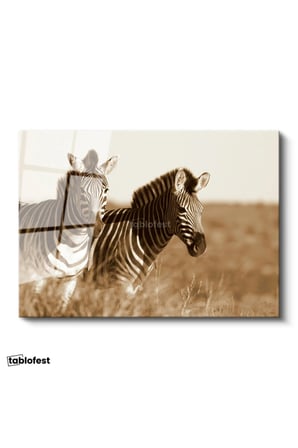 Tamperli Gerçek Cam Tablo Kuru Otlar Arasında İki Zebra Zebra Tablosu Duvar Dekoru