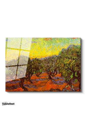 Tamperli Gerçek Cam Tablo Vincent van Gogh Zeytin Ağaçları Tarlası Ressam Tablosu Dekoru