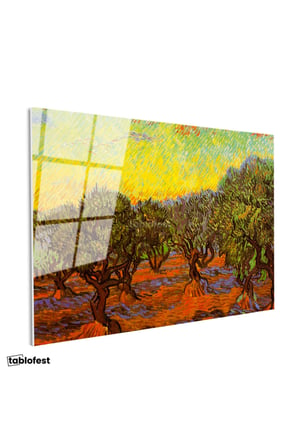Tamperli Gerçek Cam Tablo Vincent van Gogh Zeytin Ağaçları Tarlası Ressam Tablosu Dekoru