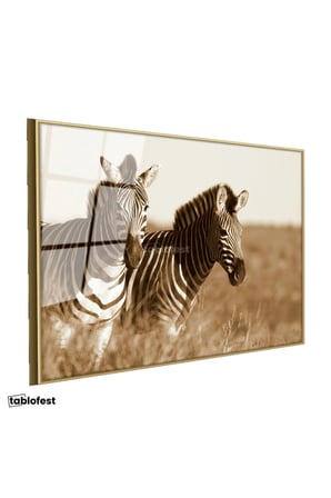 Altın Renk Metal Çerçeveli Tamperli Cam Tablo Kuru Otlar Arasında İki Zebra Zebra Tablosu Duvar Dekoru