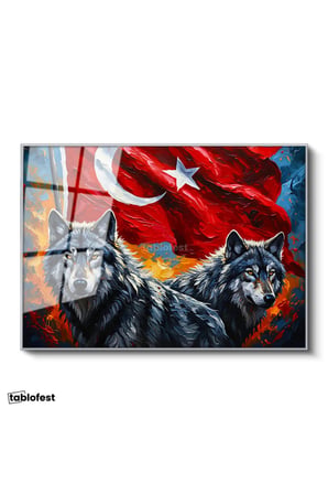 Gümüş Renk Metal Çerçeveli Tamperli Cam Tablo Ay Yıldız Kurt Tablosu Duvar Dekoru