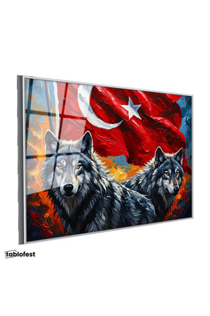 Gümüş Renk Metal Çerçeveli Tamperli Cam Tablo Ay Yıldız Kurt Tablosu Duvar Dekoru