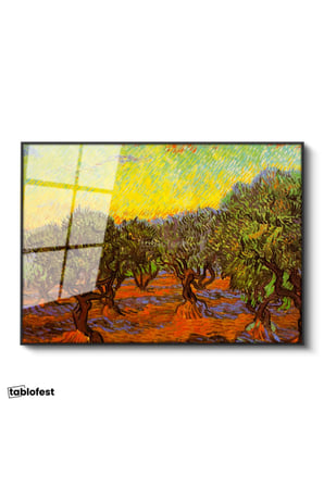 Siyah Renk Metal Çerçeveli Tamperli Cam Tablo Vincent van Gogh Zeytin Ağaçları Tarlası Ressam Tablosu Dekoru