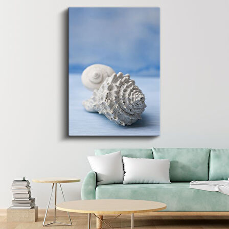 Deniz Kabukları - Okyanus Hazineleri Kanvas Tablo