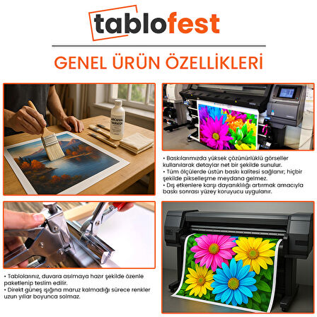 Bolu - Fiziki Haritası Kanvas Tablo