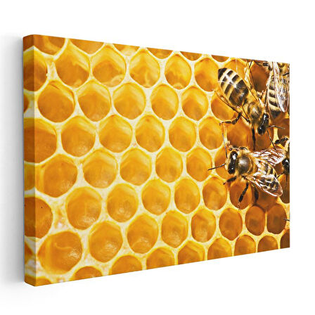 Bal Arıları - Petek Üzerinde Çalışkan İşçiler Kanvas Tablo