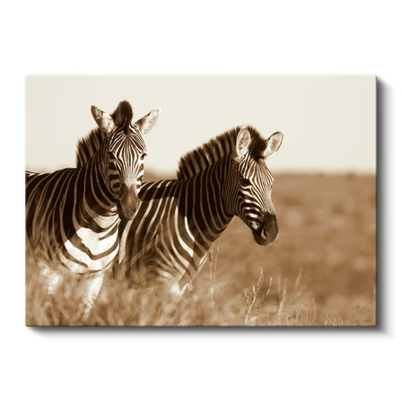 Yatay Kanvas Tablo Kuru Otlar Arasında İki Zebra Zebra Tablosu Ev Ofis Duvar Dekoru