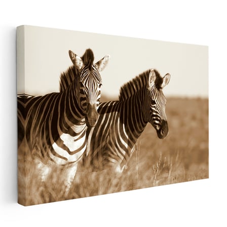 Yatay Kanvas Tablo Kuru Otlar Arasında İki Zebra Zebra Tablosu Ev Ofis Duvar Dekoru