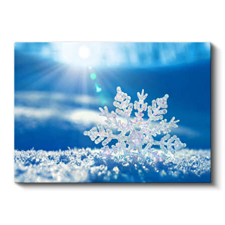 Kristal Kar Tanesi - Mavi Gökyüzü Altında Parıldayan Doğa Mucizesi Kanvas Tablo