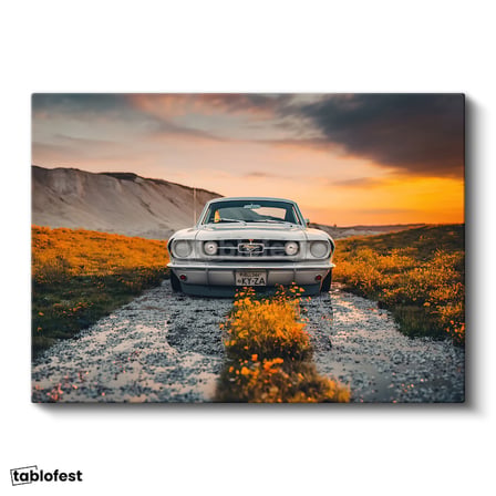Yatay Kanvas Tablo 1966 Ford Mustang Klasik Kasa Doğa Manzarası Ford Tablosu Ev Ofis Duvar Dekoru