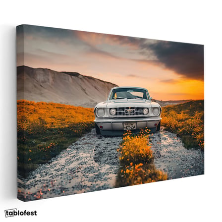 Yatay Kanvas Tablo 1966 Ford Mustang Klasik Kasa Doğa Manzarası Ford Tablosu Ev Ofis Duvar Dekoru