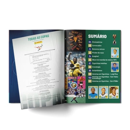 Panini Dünya Kupası 1970-2026 Futbol Tarihi Kitabı 1100+ Sayfa World Cup Özel Arşiv