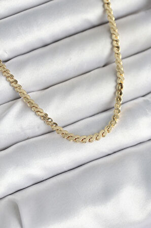 Tegan 60 cm Gold Renk Pirinç Yassı Zincir Model Kadın Kolye TG27BKO10602