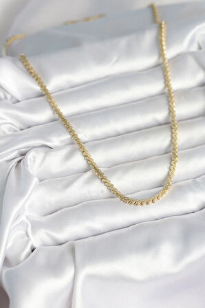 Tegan 60 cm Gold Renk Pirinç Yassı Zincir Model Kadın Kolye TG27BKO10602