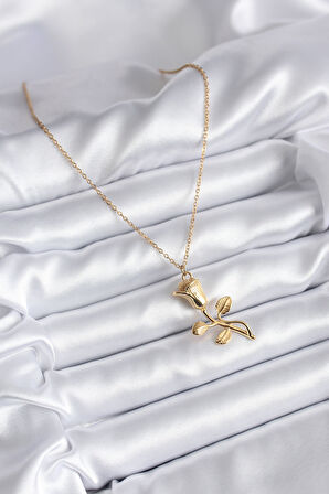 Tegan 316L Çelik Gold Renk Gül Model Kadın Kolye TG27BKO8130