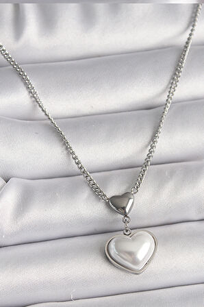 Tegan 316L Çelik Gümüş Renk Zincir 3D Kalp Model Kadın Kolye TG27BKO9771