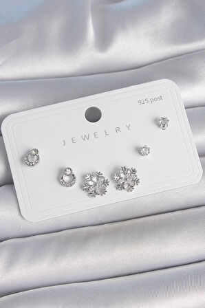 Tegan Pirinç Gümüş Renk Zirkon Taşlı Kar Tanesi Model 925 Ayar Gümüş Çivi Kadın Küpe Seti TG27BKP10483