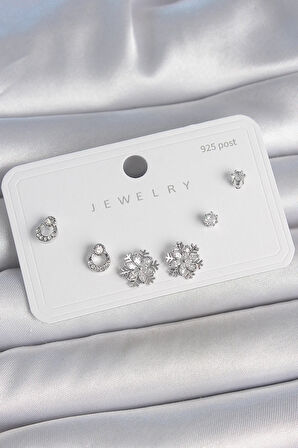 Tegan Pirinç Gümüş Renk Zirkon Taşlı Kar Tanesi Model 925 Ayar Gümüş Çivi Kadın Küpe Seti TG27BKP10483