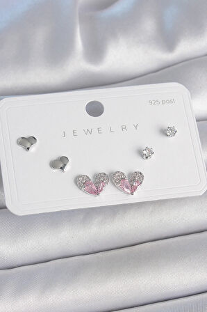 Tegan Pirinç Gümüş Renk Pembe Zirkon Taşlı Kalp Model 925 Ayar Gümüş Çivi Kadın Küpe Seti TG27BKP10493