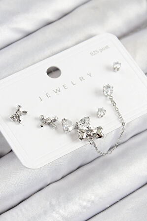 Tegan Pirinç Zirkon Taşlı Fiyonk Model Gümüş Renk 925 Ayar Gümüş Çivi Kadın Küpe Set TG27BKP11173