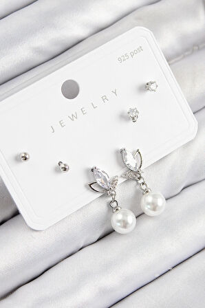 Tegan Pirinç Zirkon Taşlı İnci Sallantılı Damla Model Gümüş Renk 925 Ayar Gümüş Çivi Kadın Küpe Set TG27BKP11183