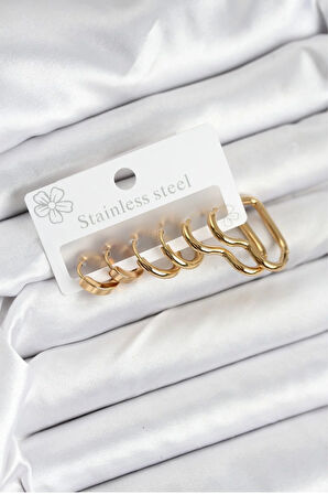 Tegan 316L Çelik Gold Renk Kadın Küpe Seti TG27BKP11222