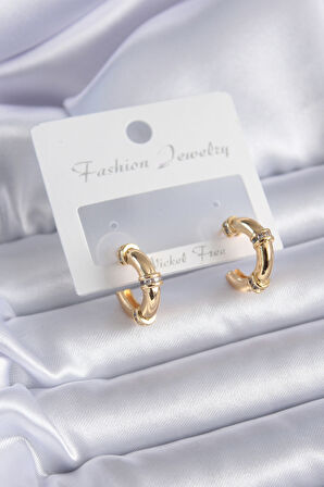 Tegan Gold Renk Zirkon Taş Detay Halka Model Pirinç Kadın Küpe TG27BKP7855