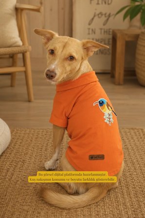 Kedi-Köpek Kıyafeti, Premium Keten Kumaş, Küçük Ve Orta Irklar İçin, Turuncu, Kuş Nakışlı Tasarım Kedi/Köpek Gömleği