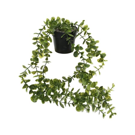EviDecor Sarkan Uzun Sarmaşık Yapay Çiçek (Plastik Saksı)- 36'li Paket
