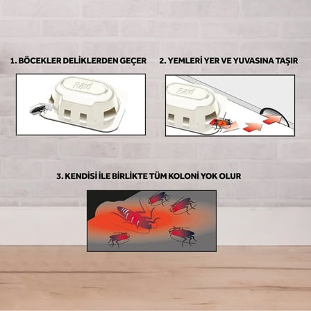 Raid Hamam Böceği Yemi - 6'lı Paket Kokusuz 3 Ay Etkili- 12'li Paket