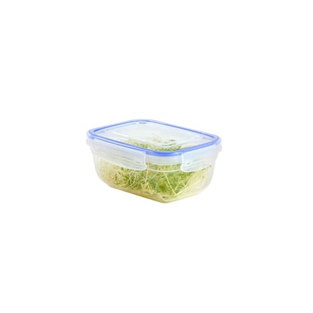 Dünya DP-30112-102 Dikdörtgen Saklama Kabı 800 ml - Contalı Sızdırmaz Şeffaf Beyaz- 12'li Paket