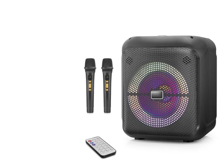 Çift Karaoke Mikrofonlu Bluetooth Hoparlör Radyo 20W 10.5 İnç Rgb Kumandalı Siyah NDR2210