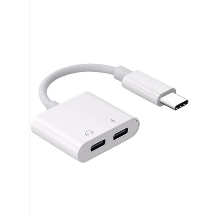 ZR293 Ftac42 Type-C 2 İn 1 Converter Adaptör