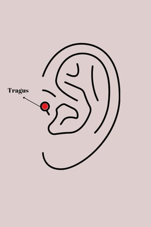 316L Çelik Gümüş Renk Zirkon Taş Detay Beyaz Çiçek Model Tragus Piercing TJ-PR1359
