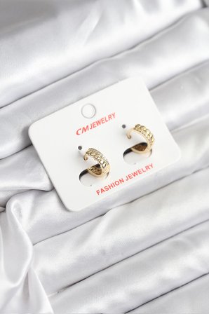 14K Gold Renk Kaplama CM Kadın Küpe TJ-BKP11407