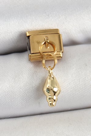 316L Çelik Sallantılı Deniz Kabuğu Model Gold Renk Nomination Charm TJ-BC1437