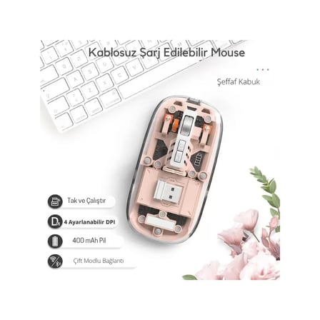 Pembe 501 Bt+ Wireless Mouse ZR1133