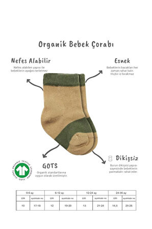 3'lü Penye Rainbow Soket Çorap Bs10113 Nil