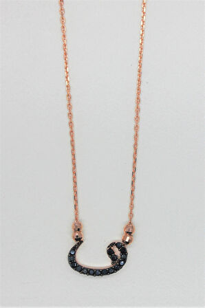 925 Ayar Siyah Vav Rose Gümüş Kolye (TGK0181)