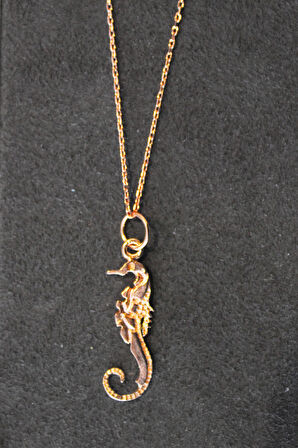 925 Ayar Denizatı Rose Gümüş Kolye (TGK0336)