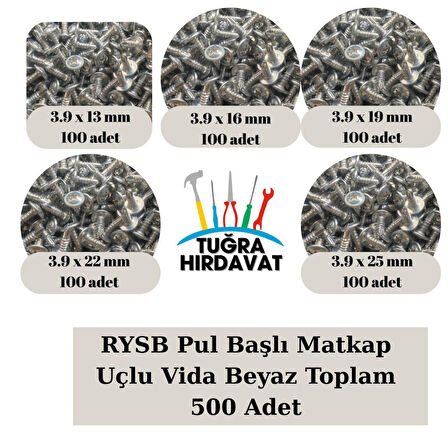 RYSB Pul Başlı Matkap Uçlu Vida Beyaz 3.9 mm (13-16-19-22-25 mm) 500 Adet