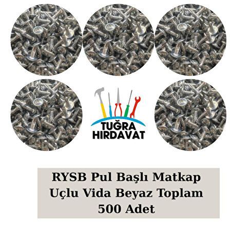 RYSB Pul Başlı Matkap Uçlu Vida Beyaz 3.9 mm (13-16-19-22-25 mm) 500 Adet