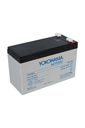 12V 9 AMPER AKÜ 2025 MALEZYA ÜRETİMİ + 12V 3 AMPER HIZLI AKÜ ŞARJ CİHAZI SETİ