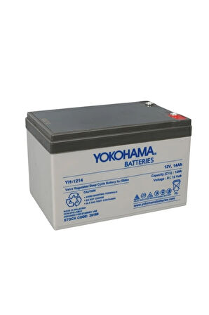 12V 14AH AKÜ VE YANINDA 6V/12V 2 AMPER AKÜ ŞARJ CİHAZI SETİ