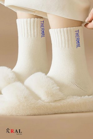 Termal Özellikli Bambu 2x Korumalı (3 ÇİFT) Kadın Soft Renkli Kışlık Havlu Soket Çorap