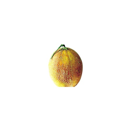 Ananas Bal Kavun Tohumu 5+ Tohum