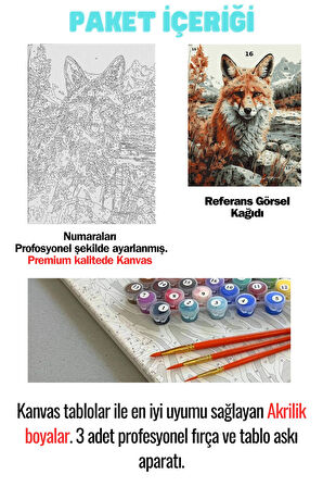 Sayılarla Boyama Çerçeveli Hobi Seti Numaralı Tuval Fırça Boya Dahil Kasnaklı TİLKİ 40X50 Cm