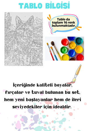 Sayılarla Boyama Çerçeveli Hobi Seti Numaralı Tuval Fırça Boya Dahil Kasnaklı TİLKİ 40X50 Cm